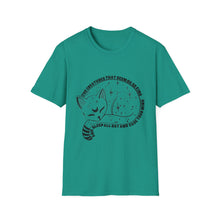 Load image into Gallery viewer, Cat Stole Things Phish Inspired Unisex Softstyle T-Shirt