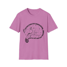 Load image into Gallery viewer, Cat Stole Things Phish Inspired Unisex Softstyle T-Shirt