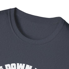 Load image into Gallery viewer, Cats Down Under the Stars Grateful Cosmic Kitty Unisex Softstyle T-Shirt