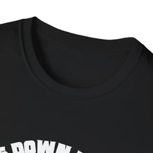 Load image into Gallery viewer, Cats Down Under the Stars Grateful Cosmic Kitty Unisex Softstyle T-Shirt