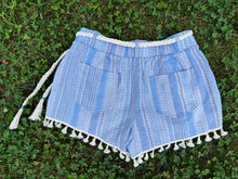 Load image into Gallery viewer, Fun and Fringy Phish Sparkly Fishman Donut Shorts - Size M/L