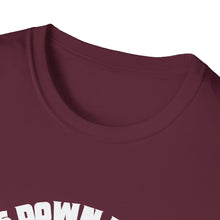 Load image into Gallery viewer, Cats Down Under the Stars Grateful Cosmic Kitty Unisex Softstyle T-Shirt