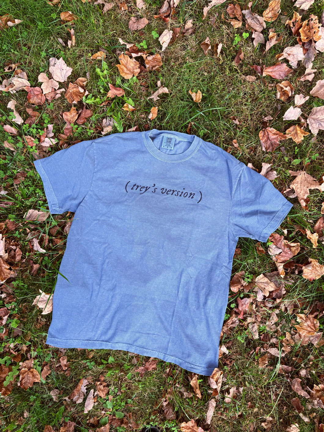( trey’s version ) Phish Swiftie Tee - Size Small>2XL