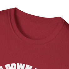 Load image into Gallery viewer, Cats Down Under the Stars Grateful Cosmic Kitty Unisex Softstyle T-Shirt