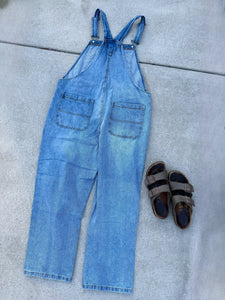 Give Phish a Chance Tapestry Distressed Denim Overalls- Size Medium or XL